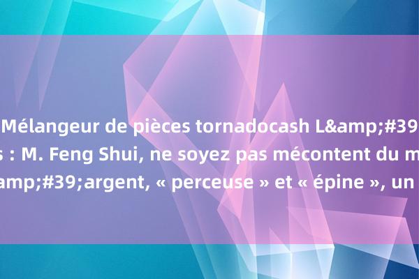 Mélangeur de pièces tornadocash L&#39;humour des ancêtres : M. Feng Shui, ne soyez pas mécontent du manque d&#39;argent, « perceuse » et « épine », un merveilleux livre pour devenir riche