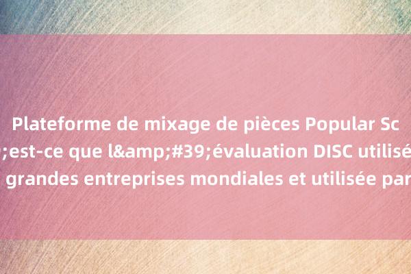 Plateforme de mixage de pièces Popular Science丨Qu&#39;est-ce que l&#39;évaluation DISC utilisée par les 500 plus grandes entreprises mondiales et utilisée par plus de 200 millions de personnes